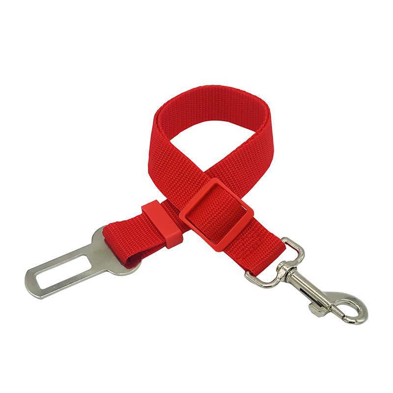 Laisse télescopique et harnais de traction pour chien – promenade et sécurité auto