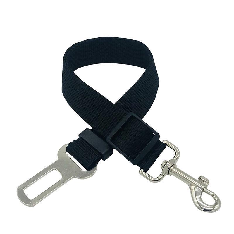 Laisse télescopique et harnais de traction pour chien – promenade et sécurité auto