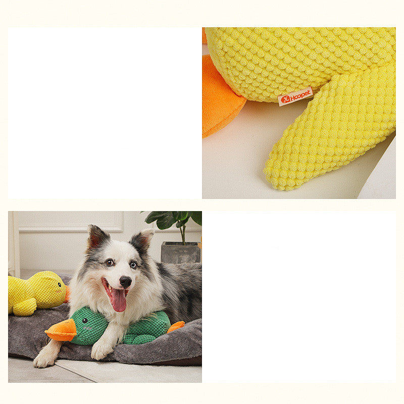 Jouet à mâcher pour chien – Nettoyage des dents et molaires résistantes