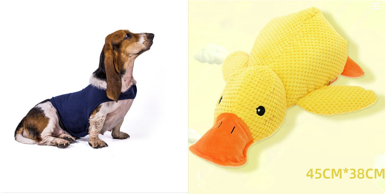 Jouet à mâcher pour chien – Nettoyage des dents et molaires résistantes