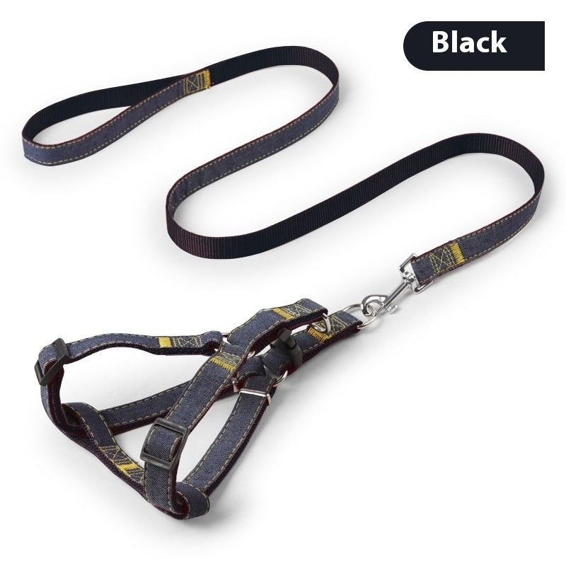 Laisse pour chien