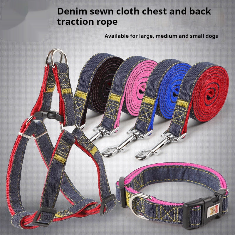 Laisse pour chien